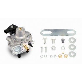 ГАЗОВЫЙ LPG РЕДУКТОР LOVATO RGJ-3.2L ГАЗОВЫЙ LPG РЕДУКТОР LOVATO RGJ-3.2L